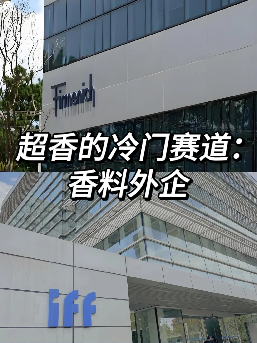 香料类的外企也太适合女生了吧！