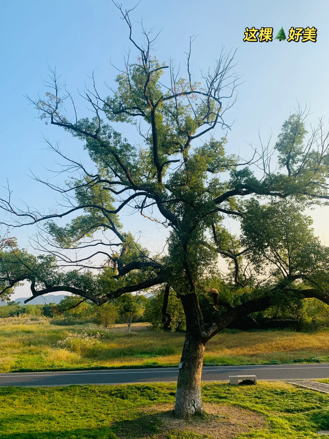 Plog｜Marketing的人到底在干什么？