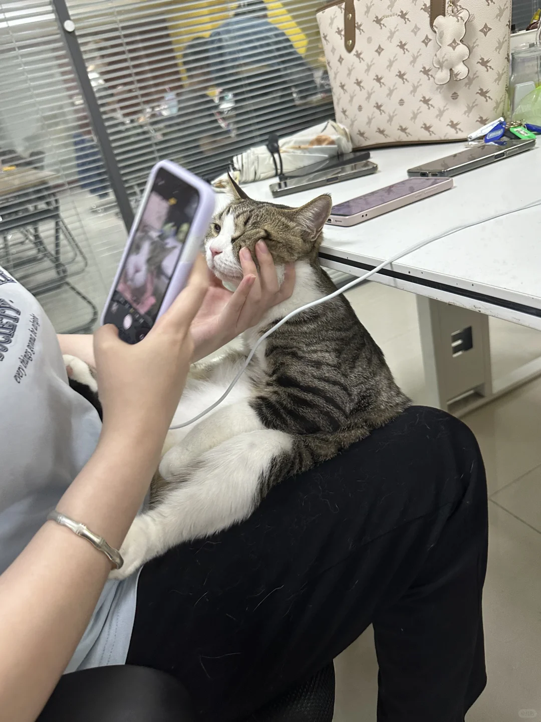 听说小红书招人比boss 好用