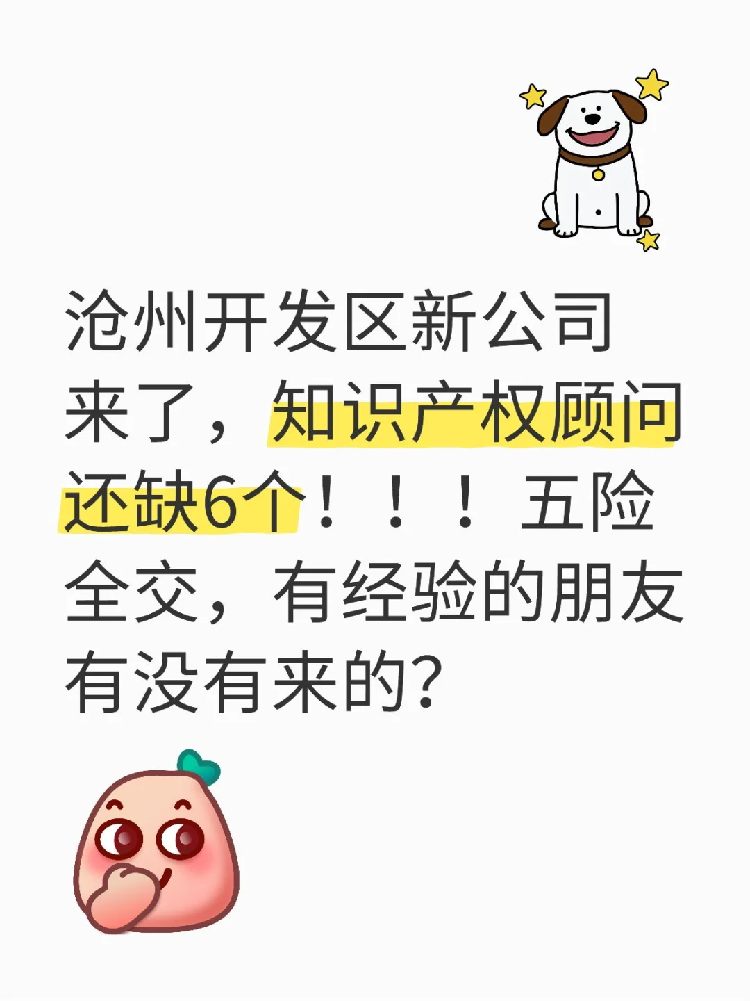 沧州开发区，新公司岗位来了！