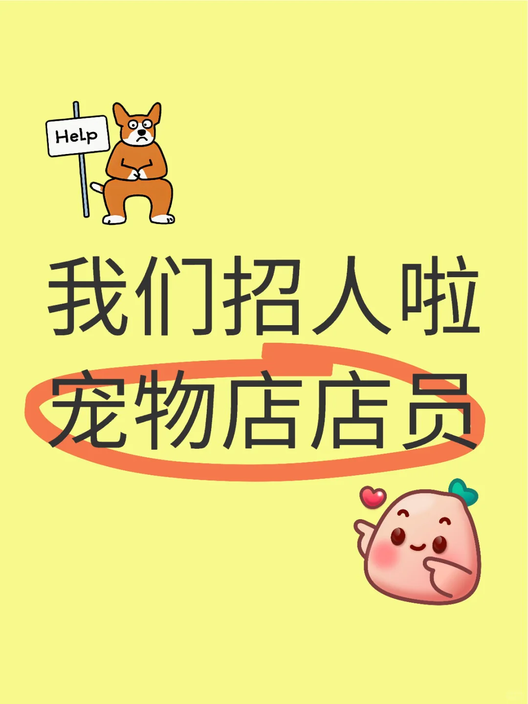 招宠物店店员啦