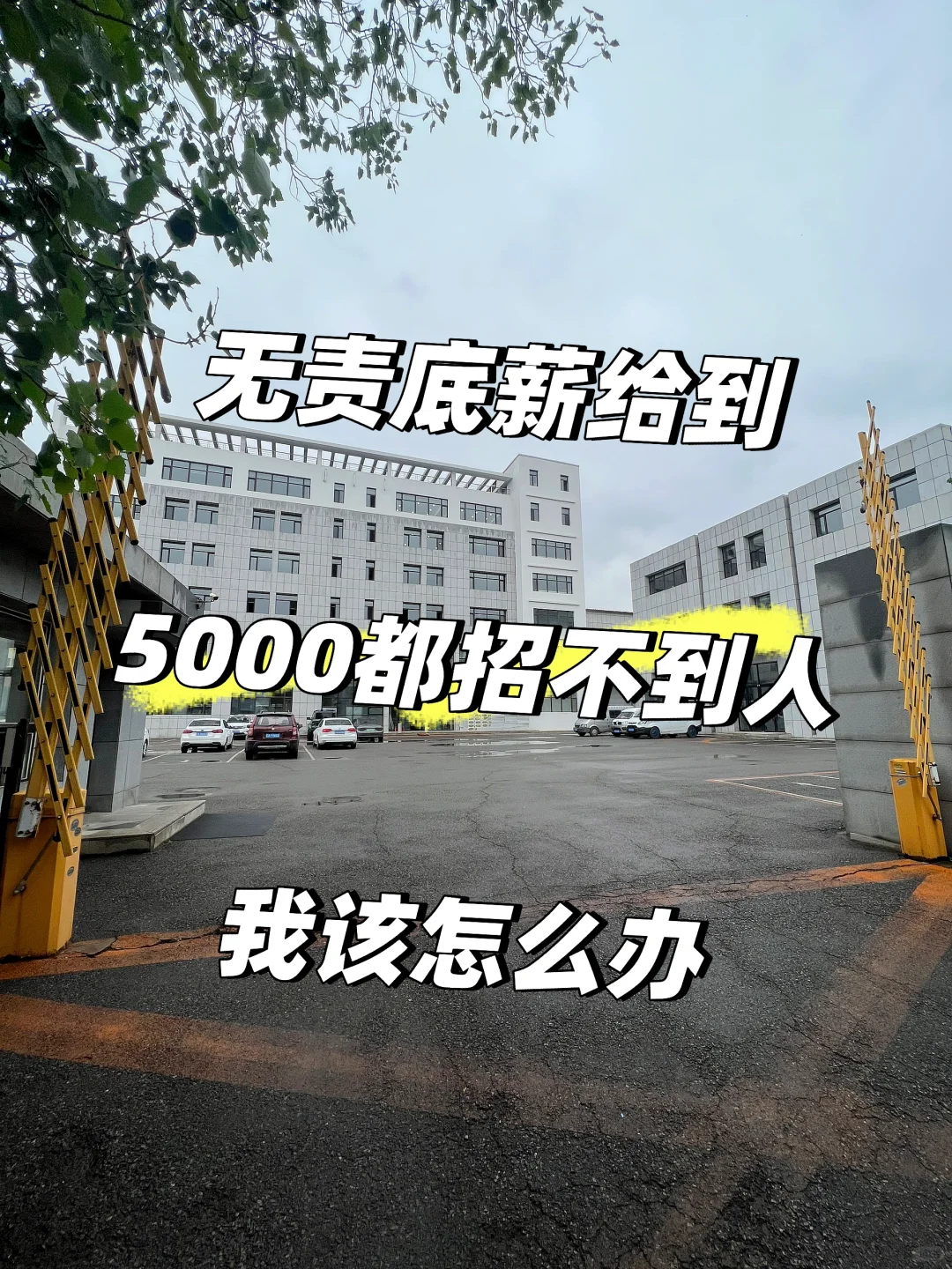 都说沈阳难找工作，其实招聘更难！