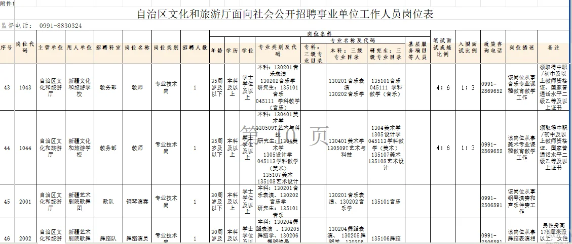 自治区文化和旅游厅社会公开招聘出公告啦！