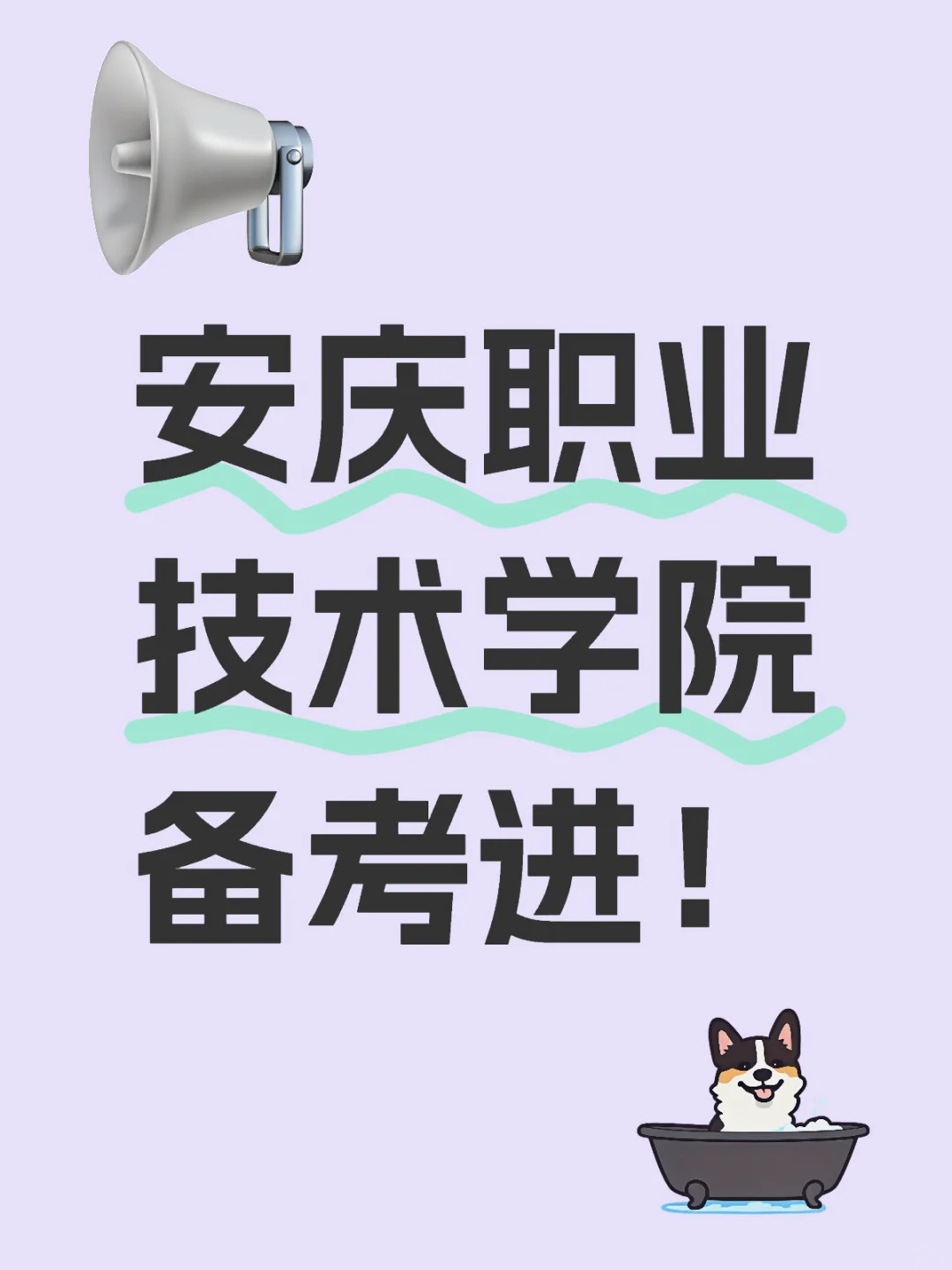 安庆职业技术学院2025招聘33人❗️