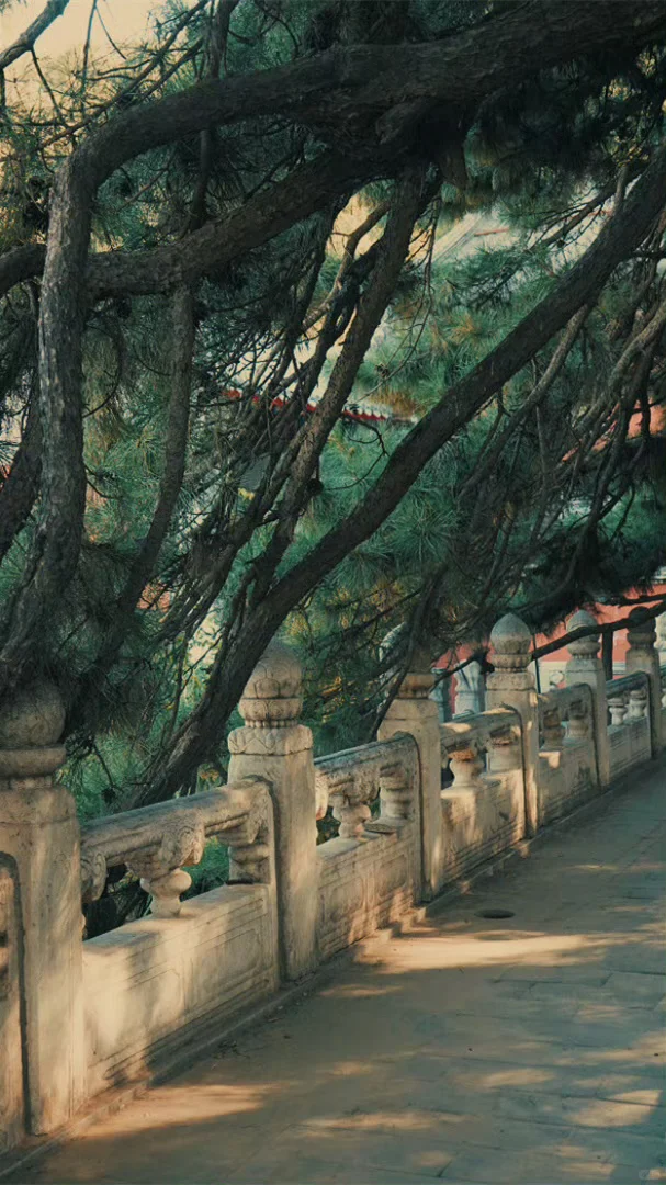 沈阳区转编的一些看法