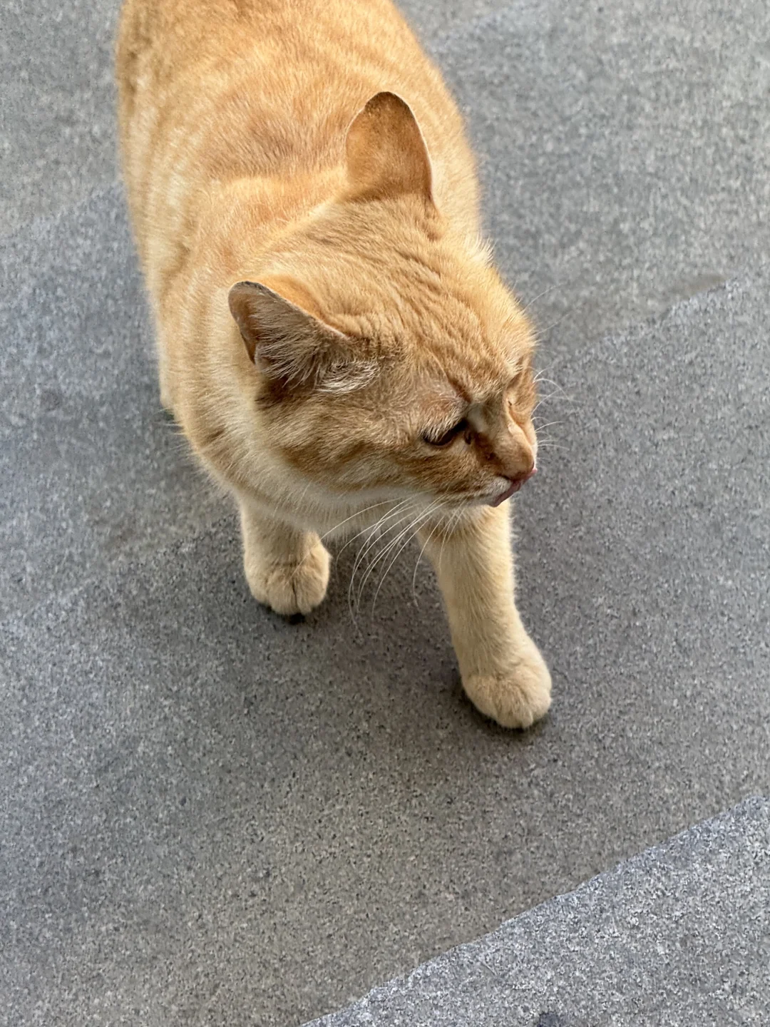 朝九晚五的一天