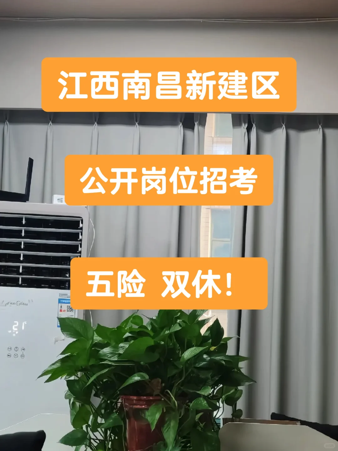 江西南昌新建区公开岗位招考62人！