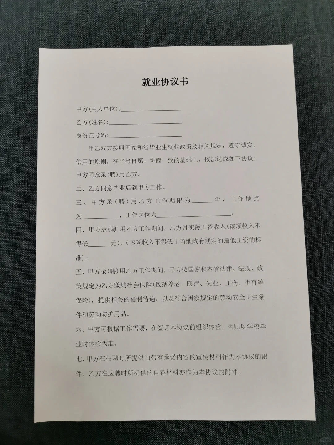 大学毕业生就业协议