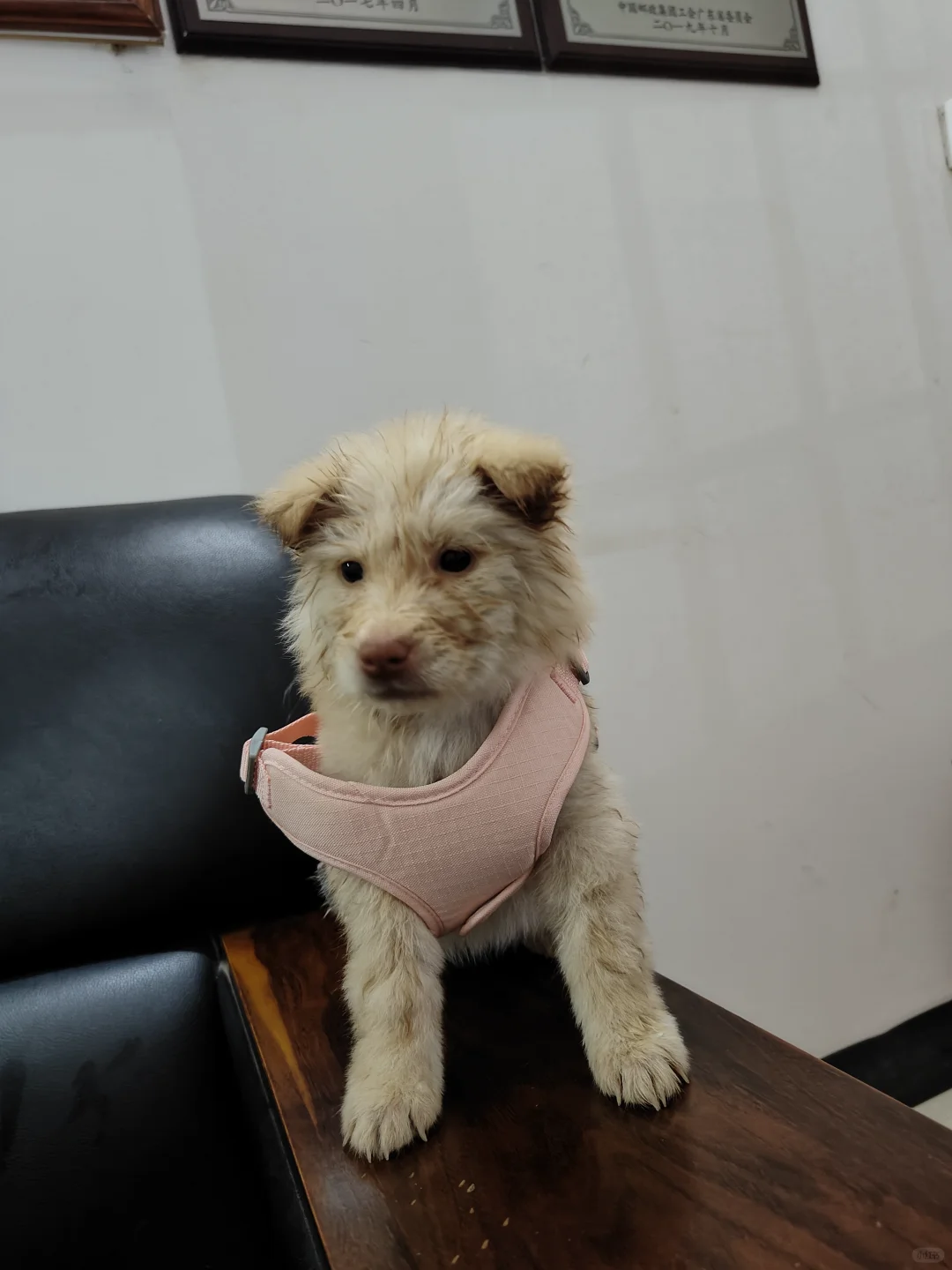 问问每个好心人