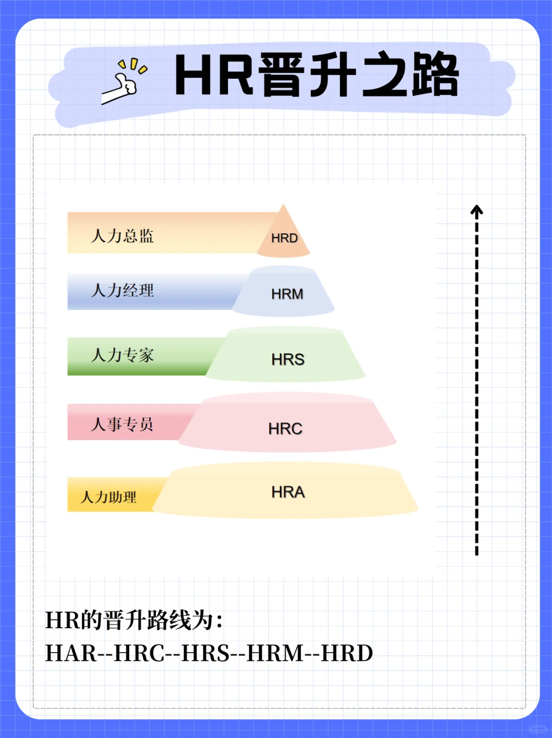 HR的晋升途径！一图搞懂‼️