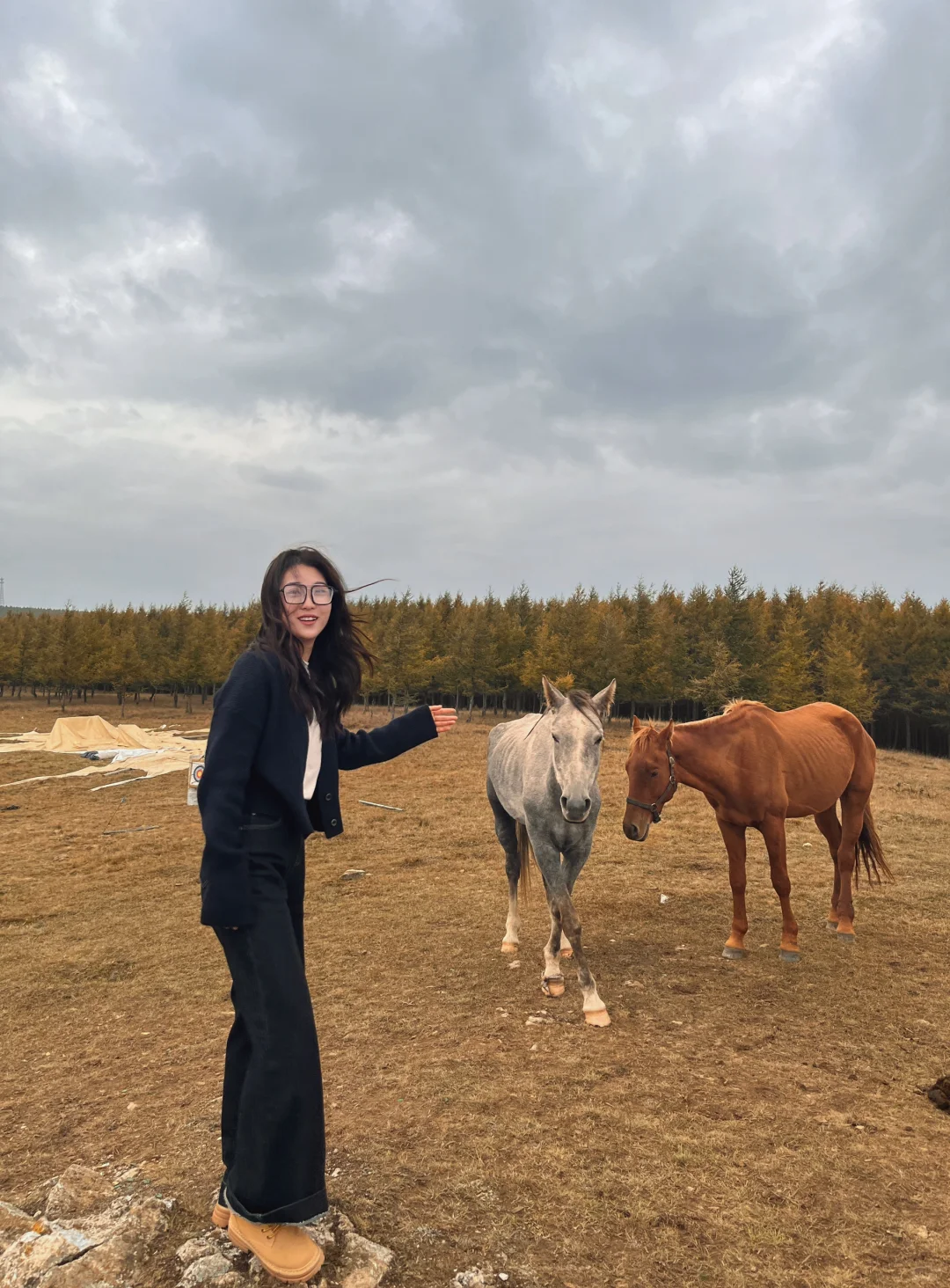 真诚相亲贴（找到会删帖）