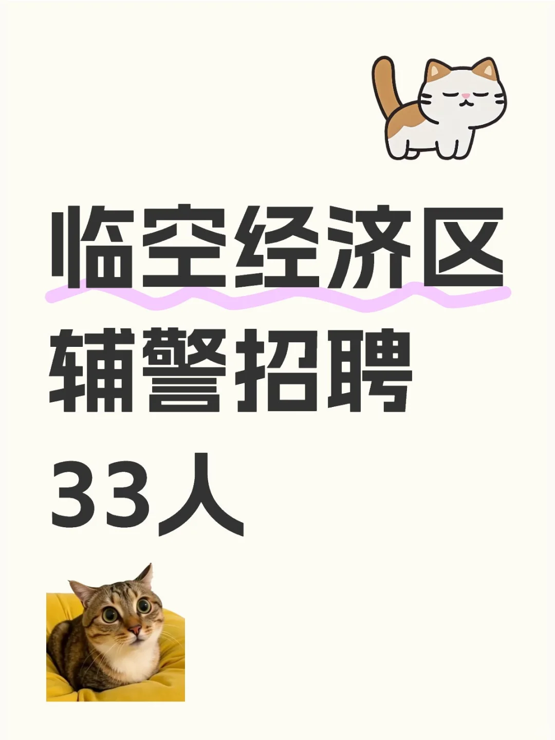 又开始招人了哦