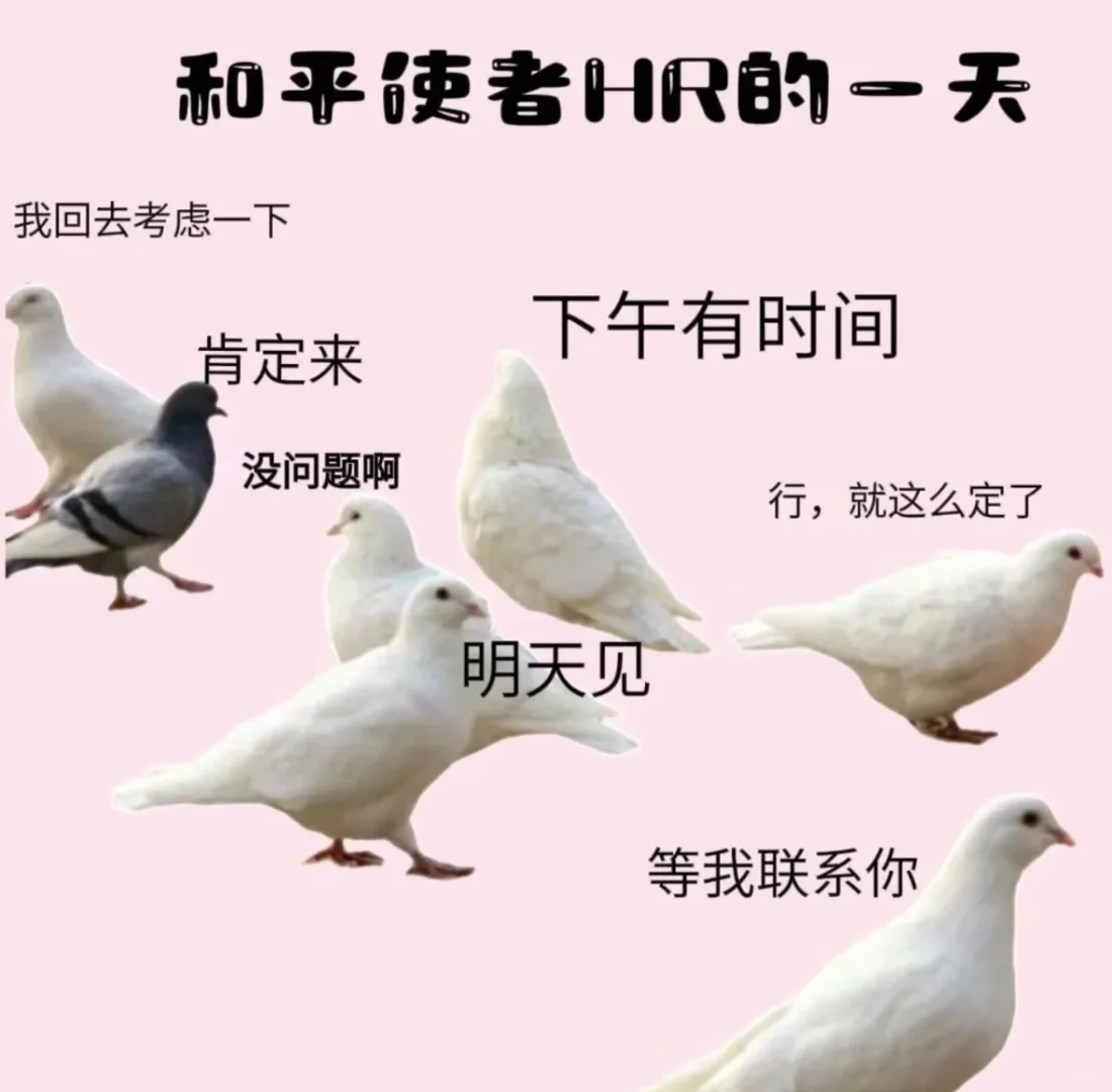 没有找文职岗的美女嘛🫣