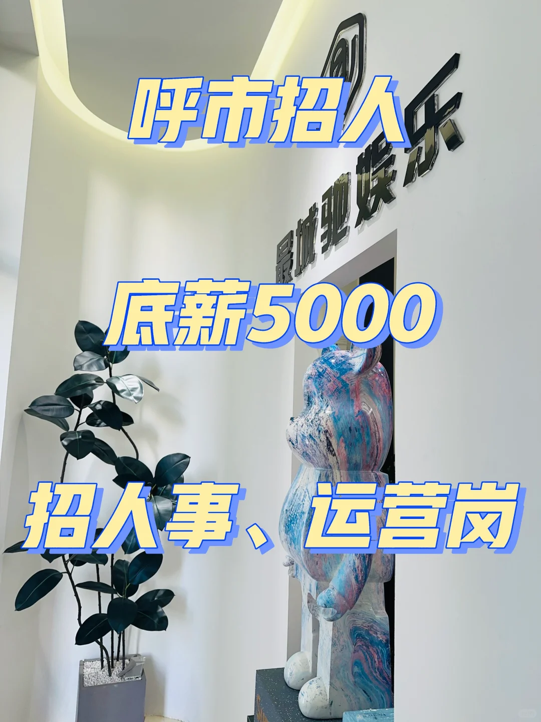 回民区招人事、运营经验不限，工作轻松😄