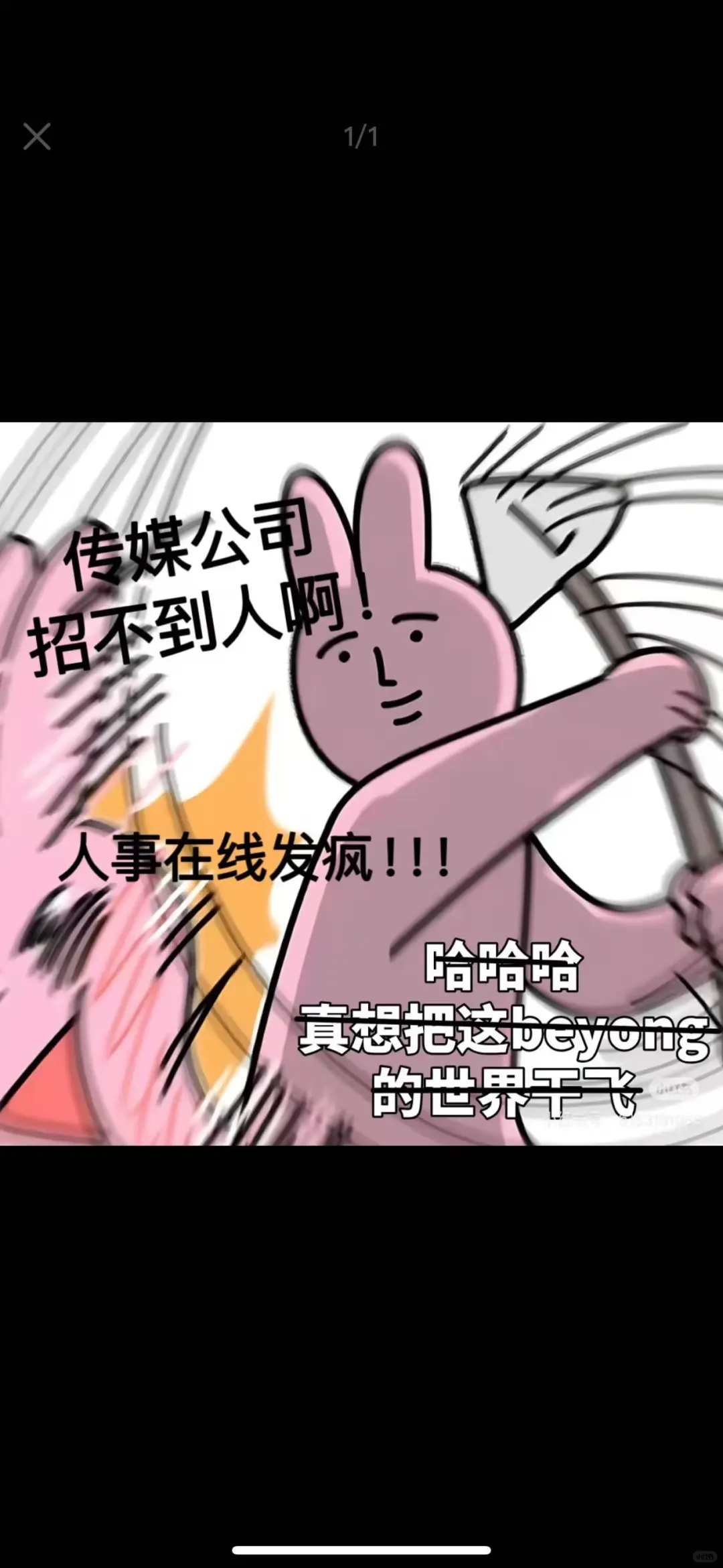 啊啊啊啊啊！真的招不到吗！！