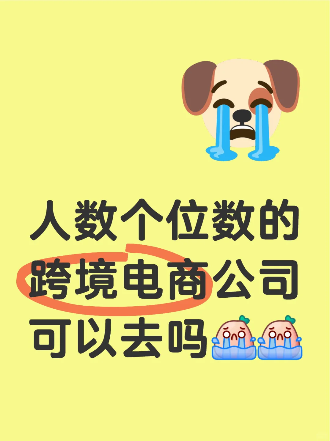 offer来得太突然🥹