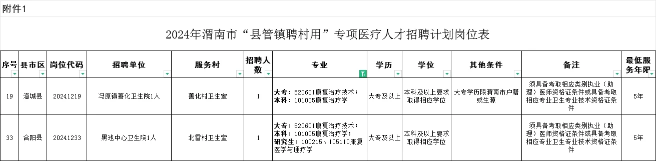 2024渭南县管镇聘村用医疗卫生职位表