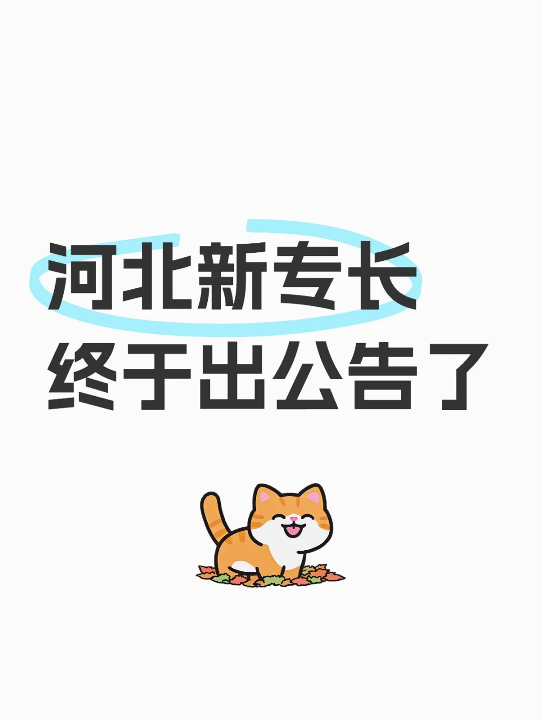 河北新专长出公告啦😎