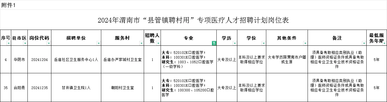 2024渭南县管镇聘村用医疗卫生职位表