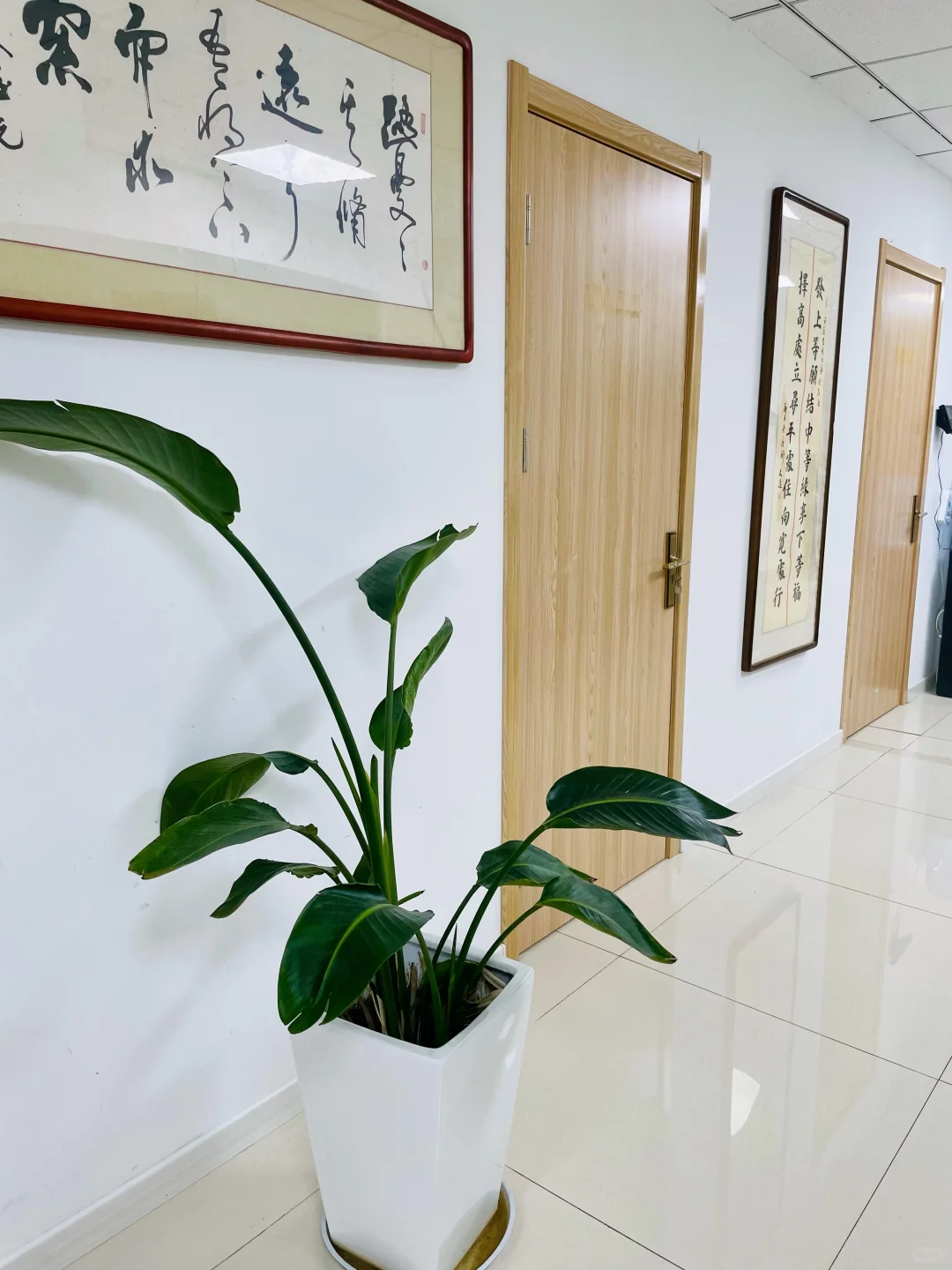 芜湖镜湖区招人！！包吃住！！！薪资可观