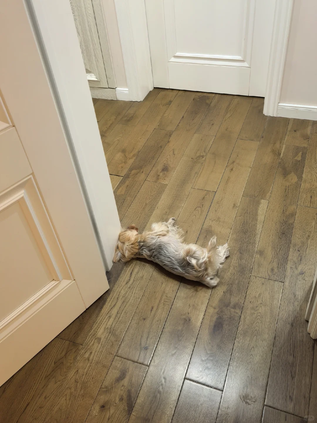 我记得你是个只有5斤的宝宝啊