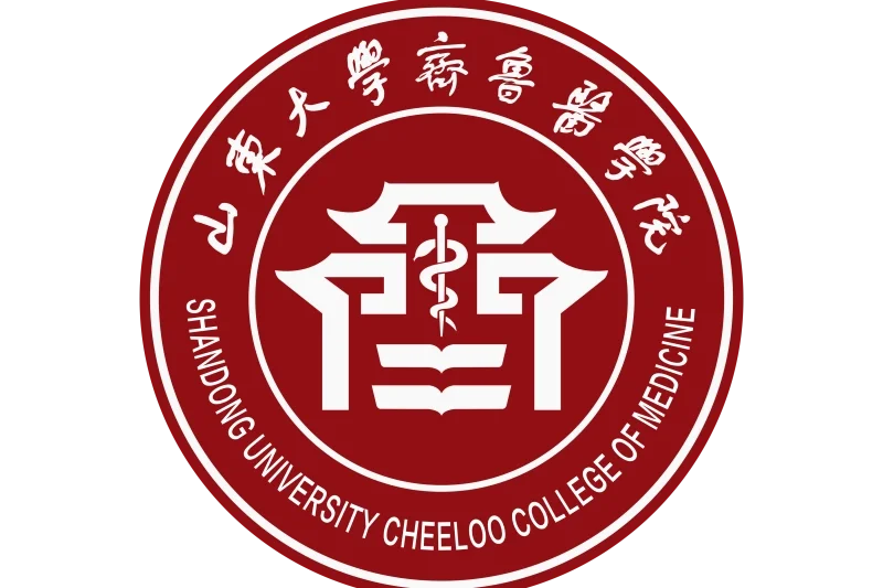 山东大学齐鲁医学院人才队伍建设！