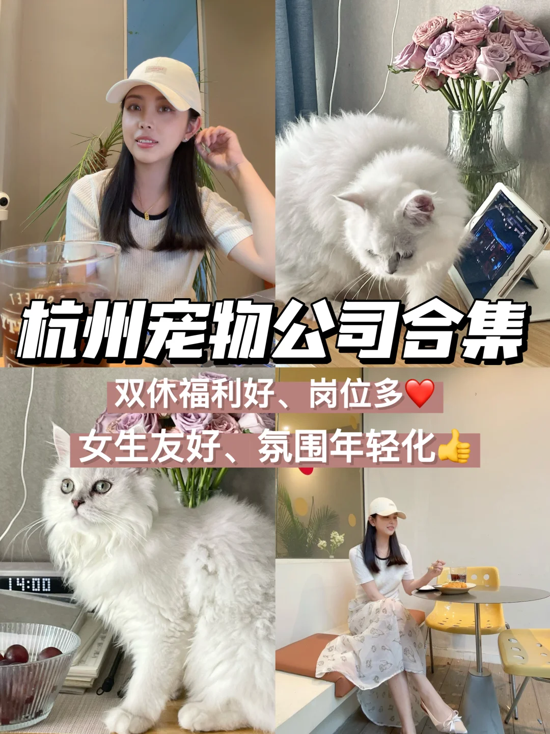 杭州宠物公司合集🌟双休福利好、岗位多👍