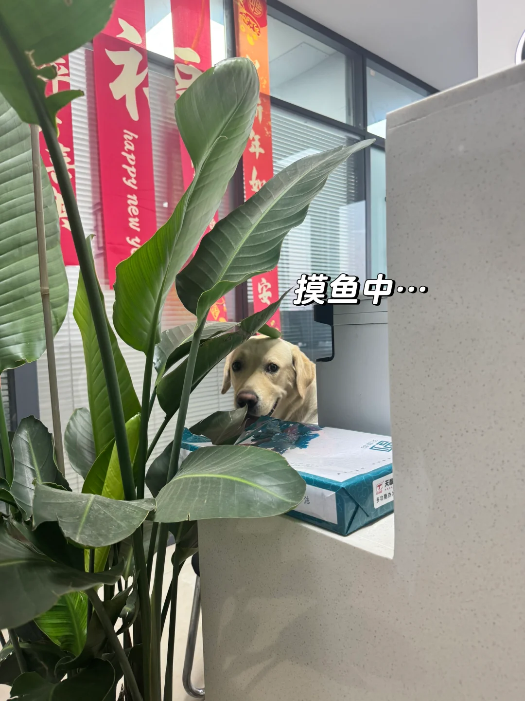 洛阳月入5K+的工作 轻松不加班👀