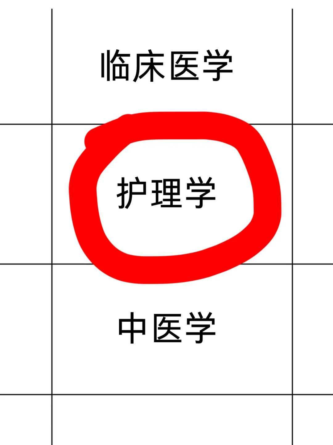 护理人都收到5.13的事业编招聘公告了吗?