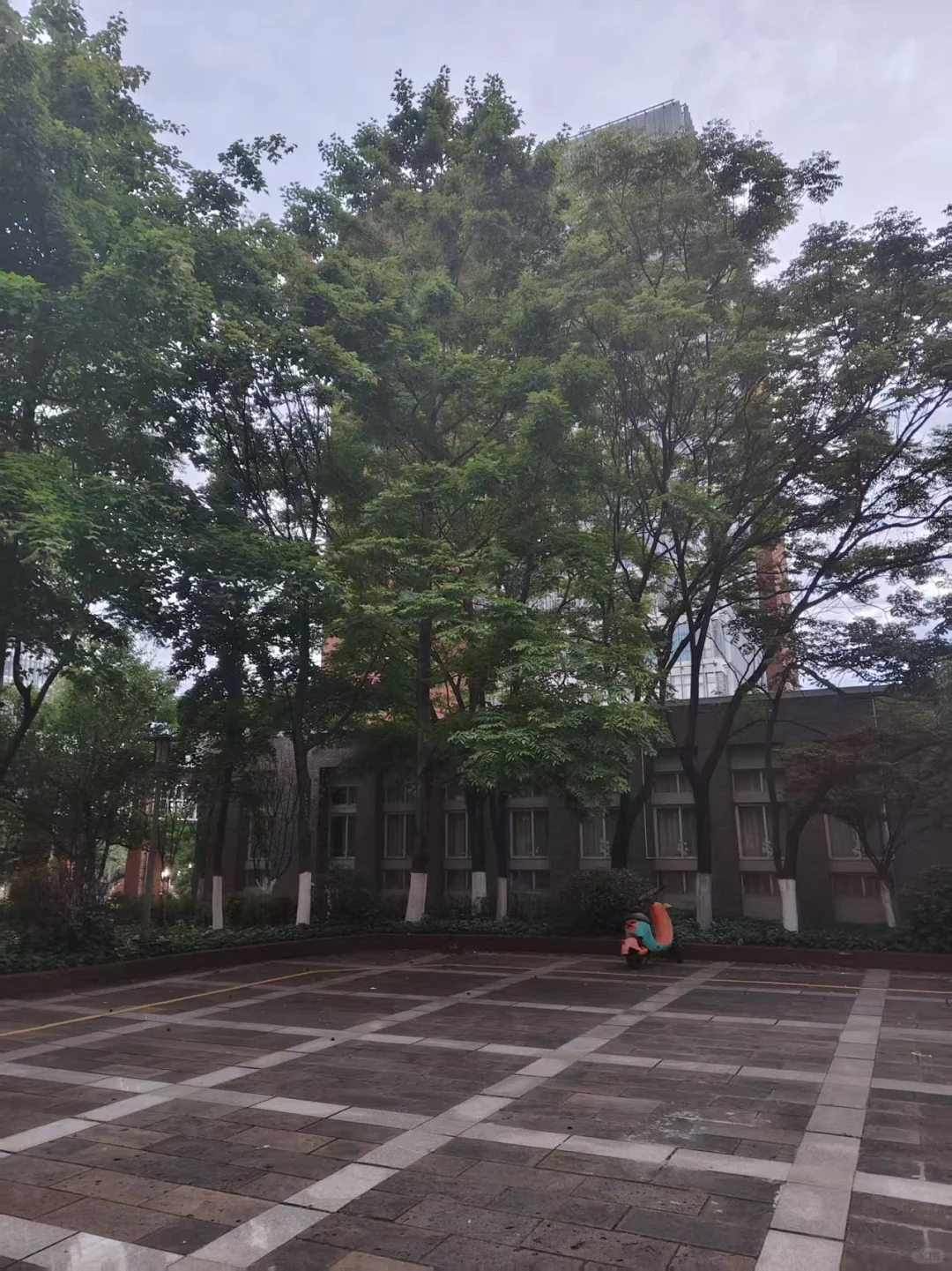 2025高考生必看！昆明理工大学理学院