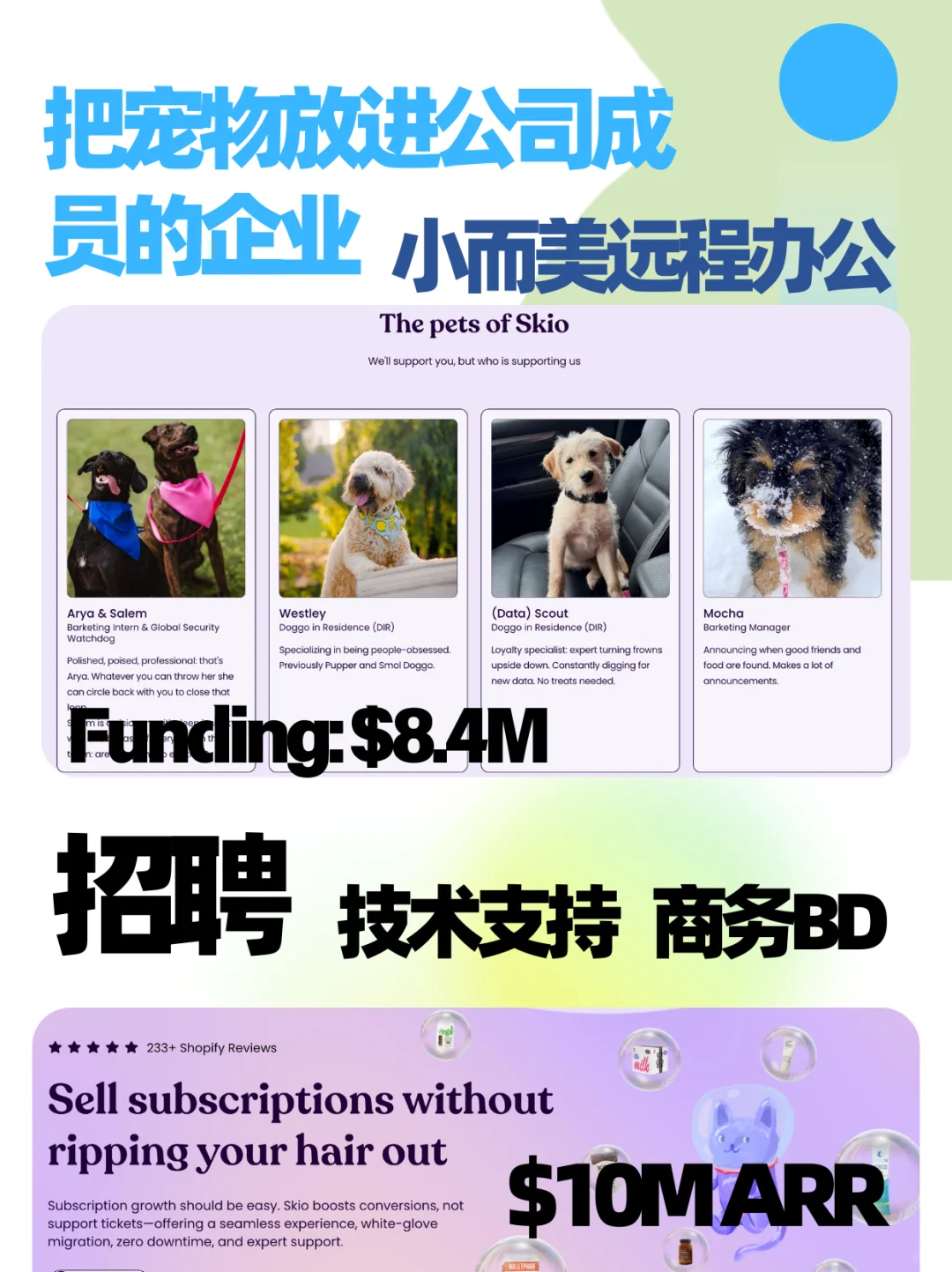 21年初创47人小公司❗️远程工作岗位放送