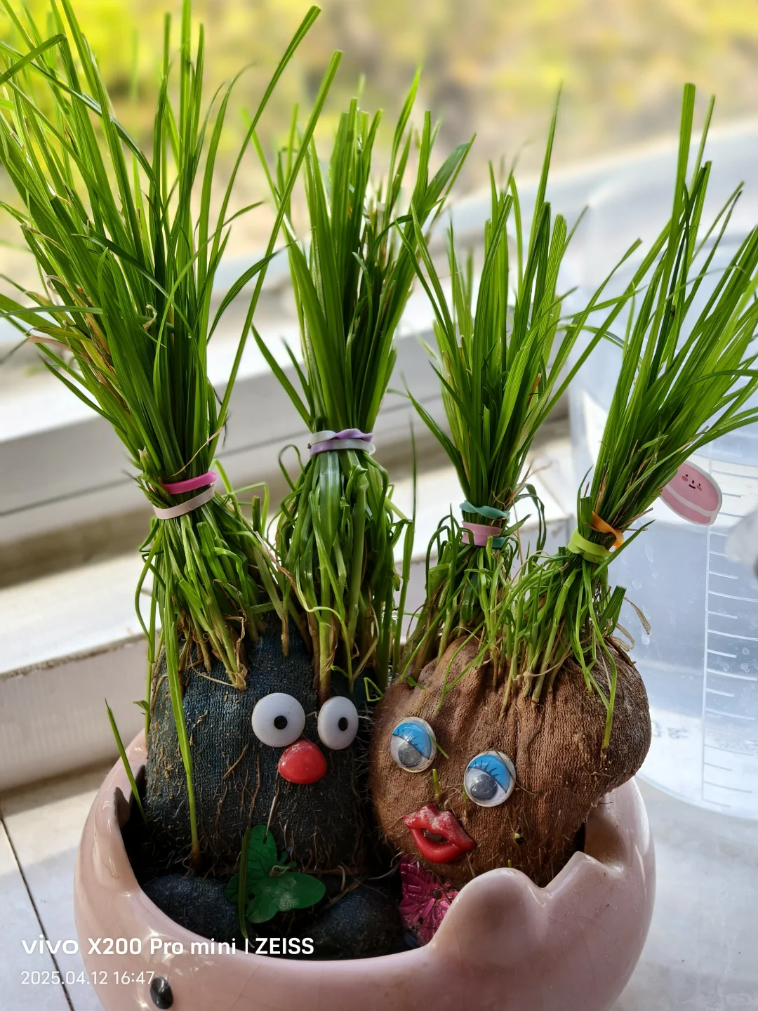 招聘💼办公室文员