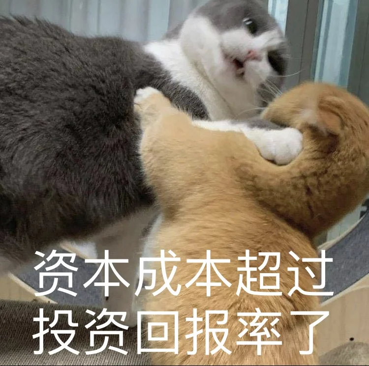 🇨🇦请教一下投递同一公司岗位有啥注意事项