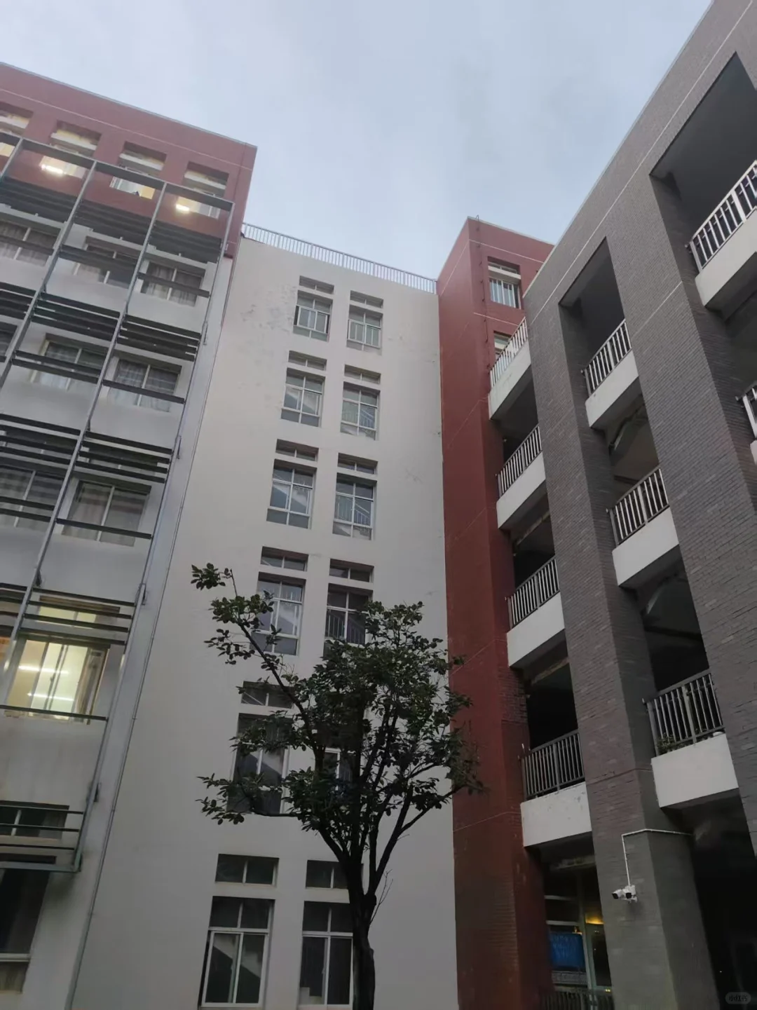 2025高考生必看！昆明理工大学理学院