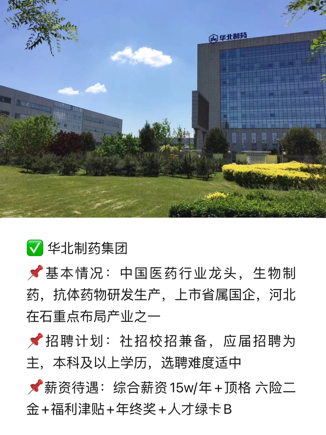 石家庄靠谱大公司【国企版】（正在招）