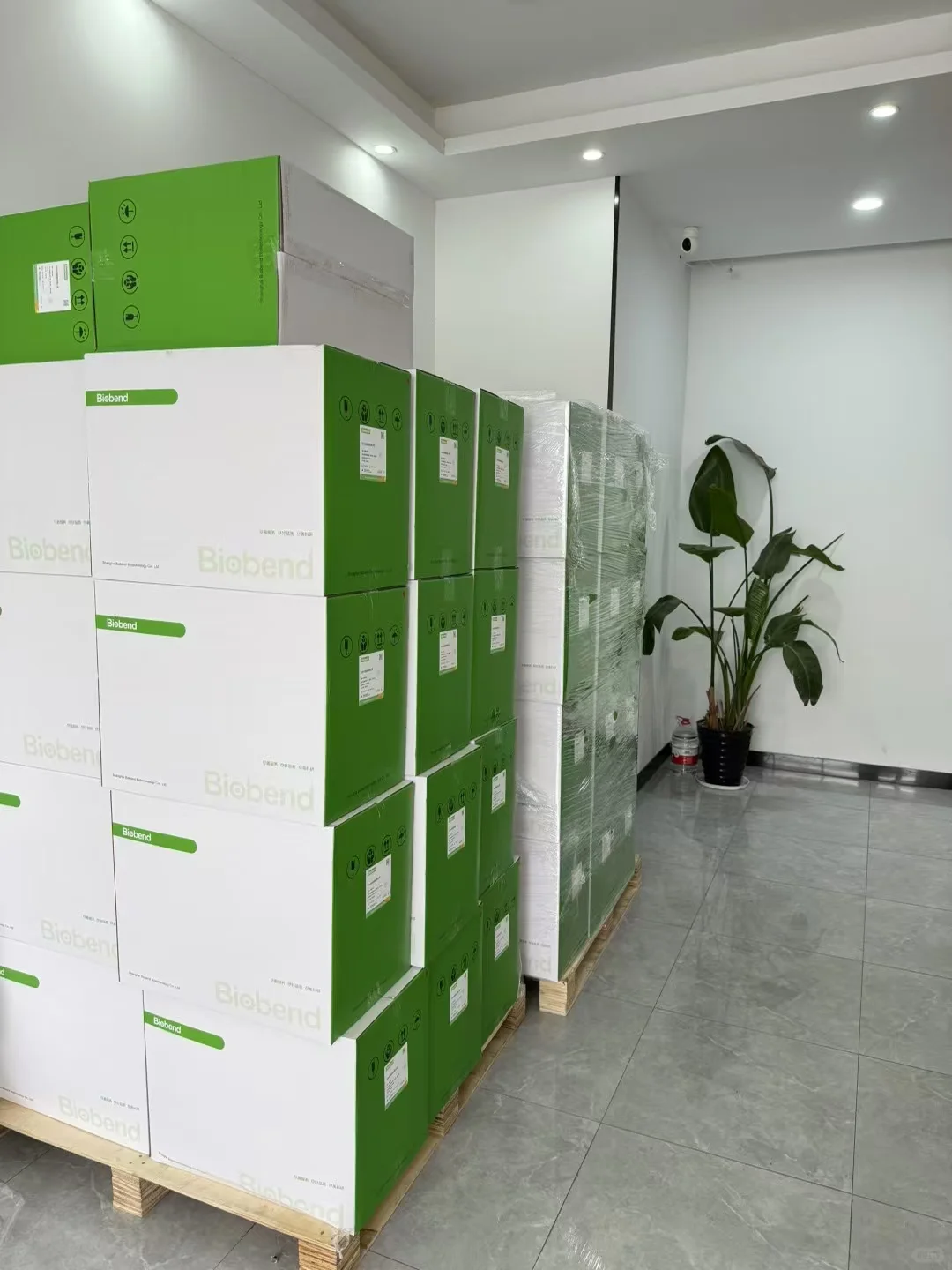 上海闵行生物公司助理招聘