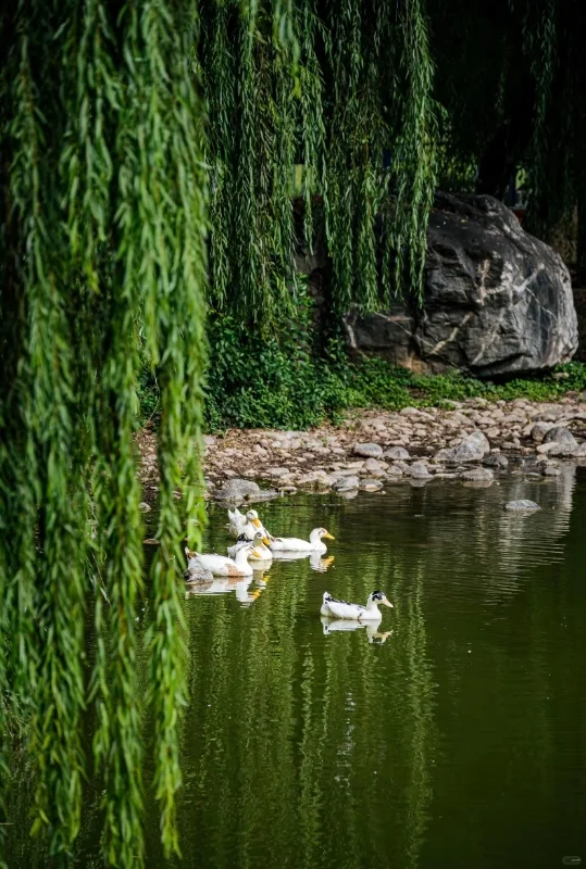 西安邮电大学丨事业编制丨辅导员招19名‌