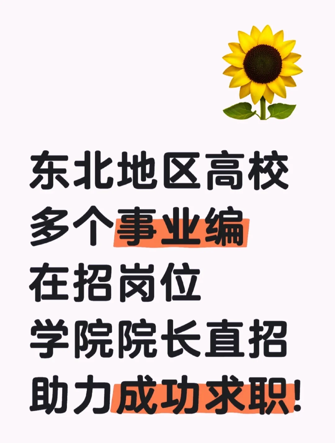 东北多个高校事业编岗位，院长直招