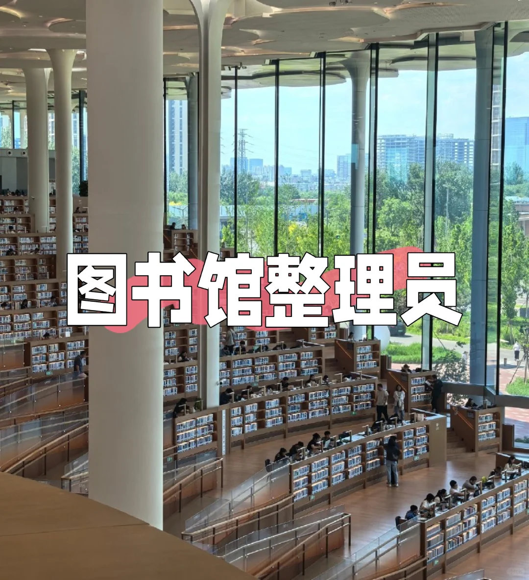 深圳日结 | 图书管理员