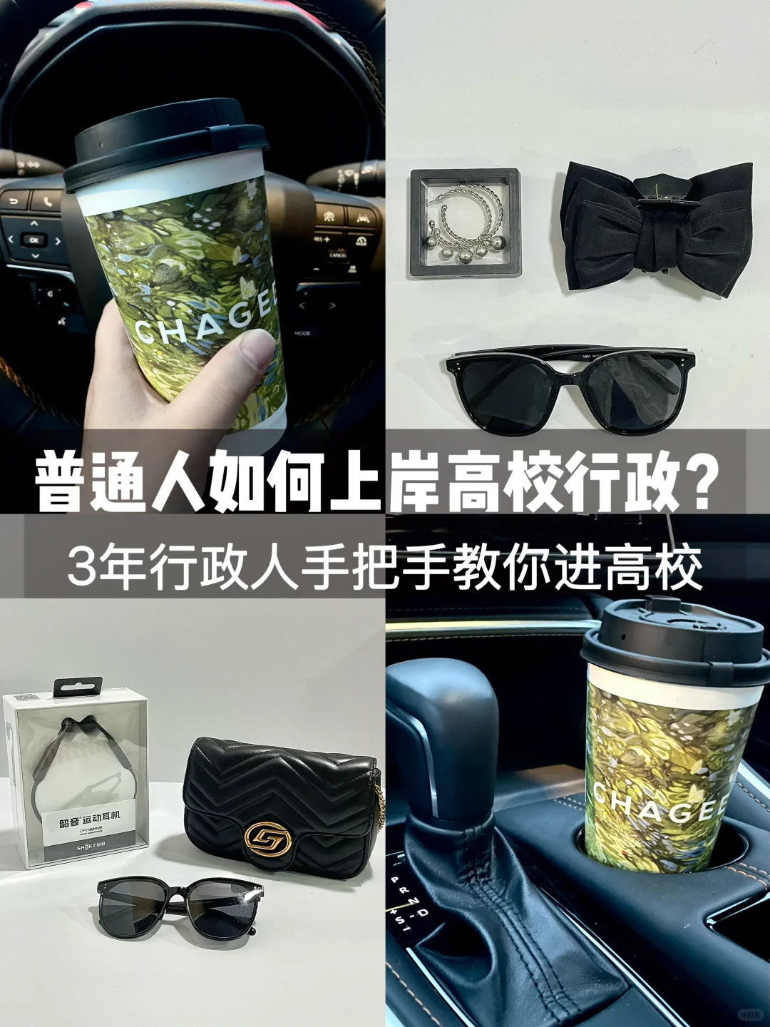 Plog | 97👩🏻行政手把手教你进高校