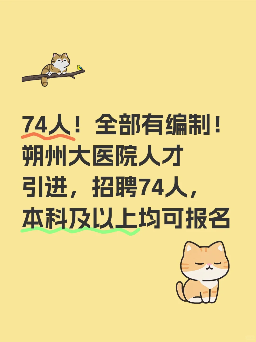 朔州市大医院招聘