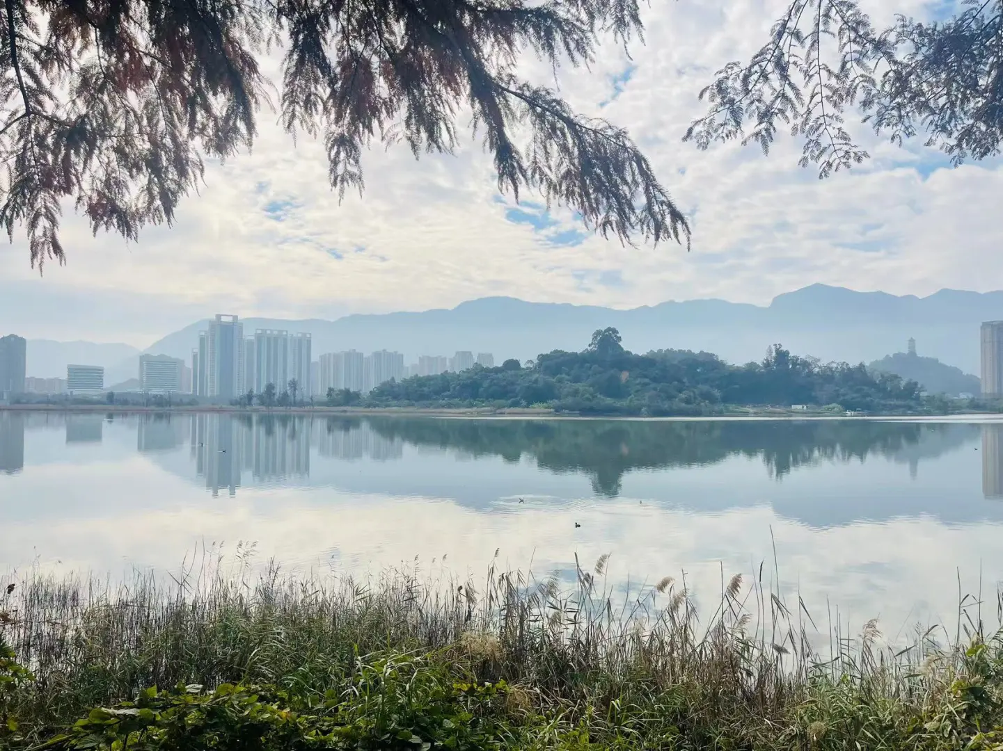 福建法院省聘书记员准备考试啦