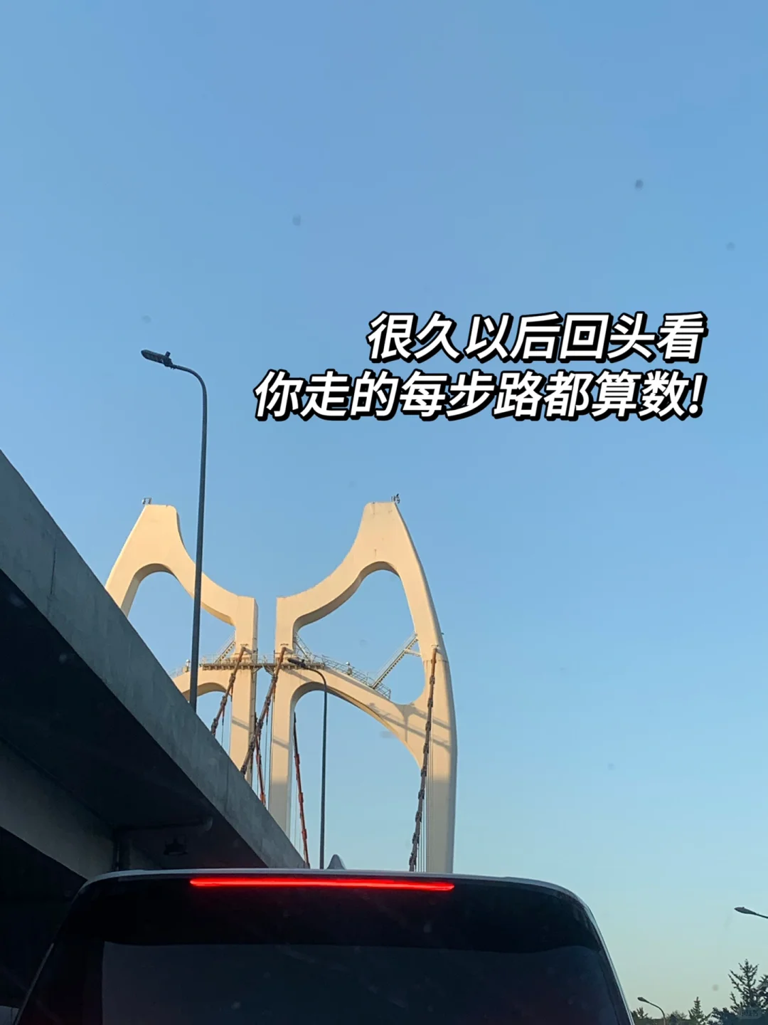 终于找到二本生梦中情司啦🌸打破信息差