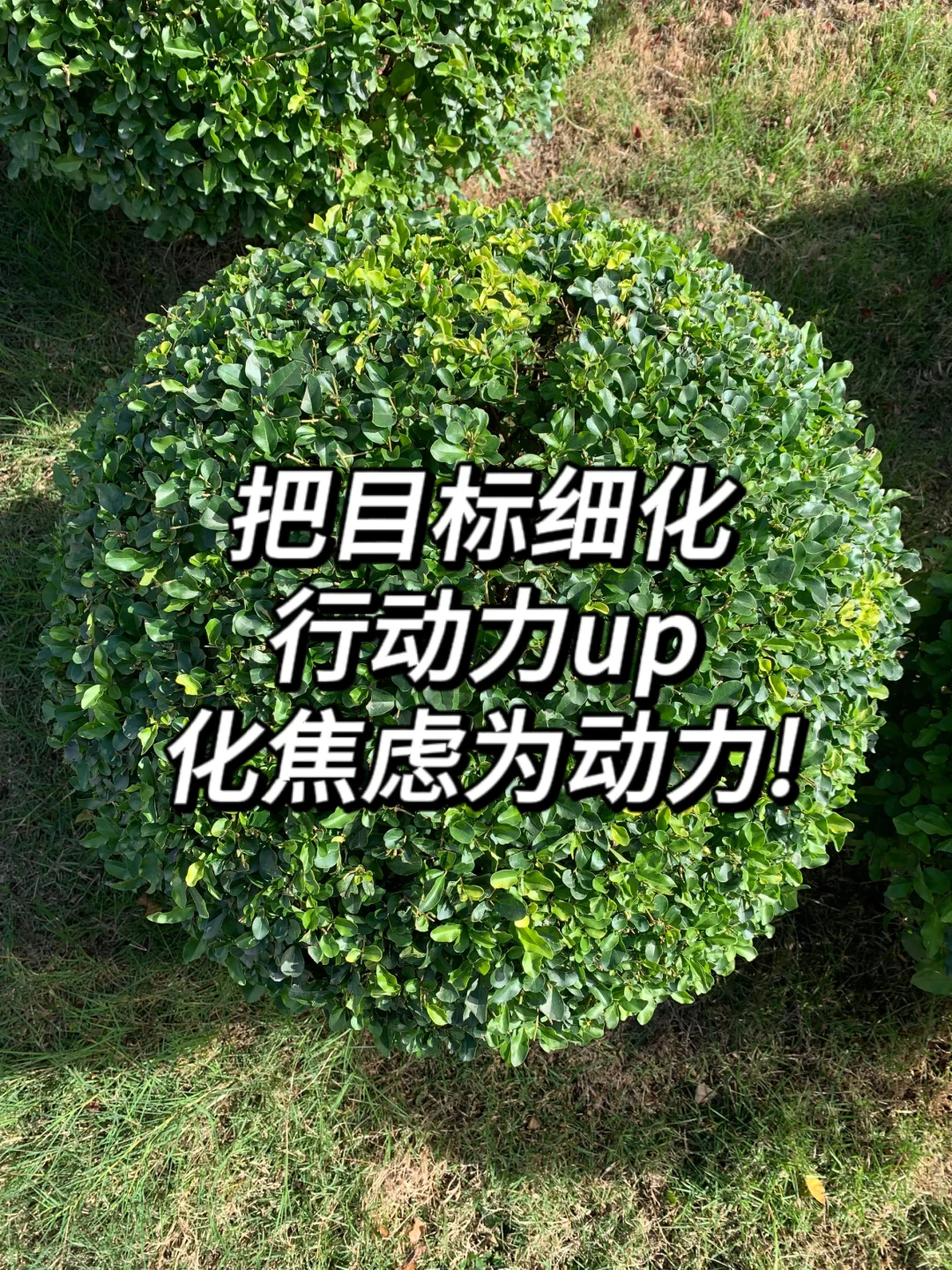 终于找到二本生梦中情司啦🌸打破信息差