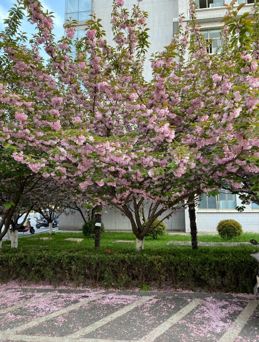 流行舞艺考生能上的大学之阜阳师范大学