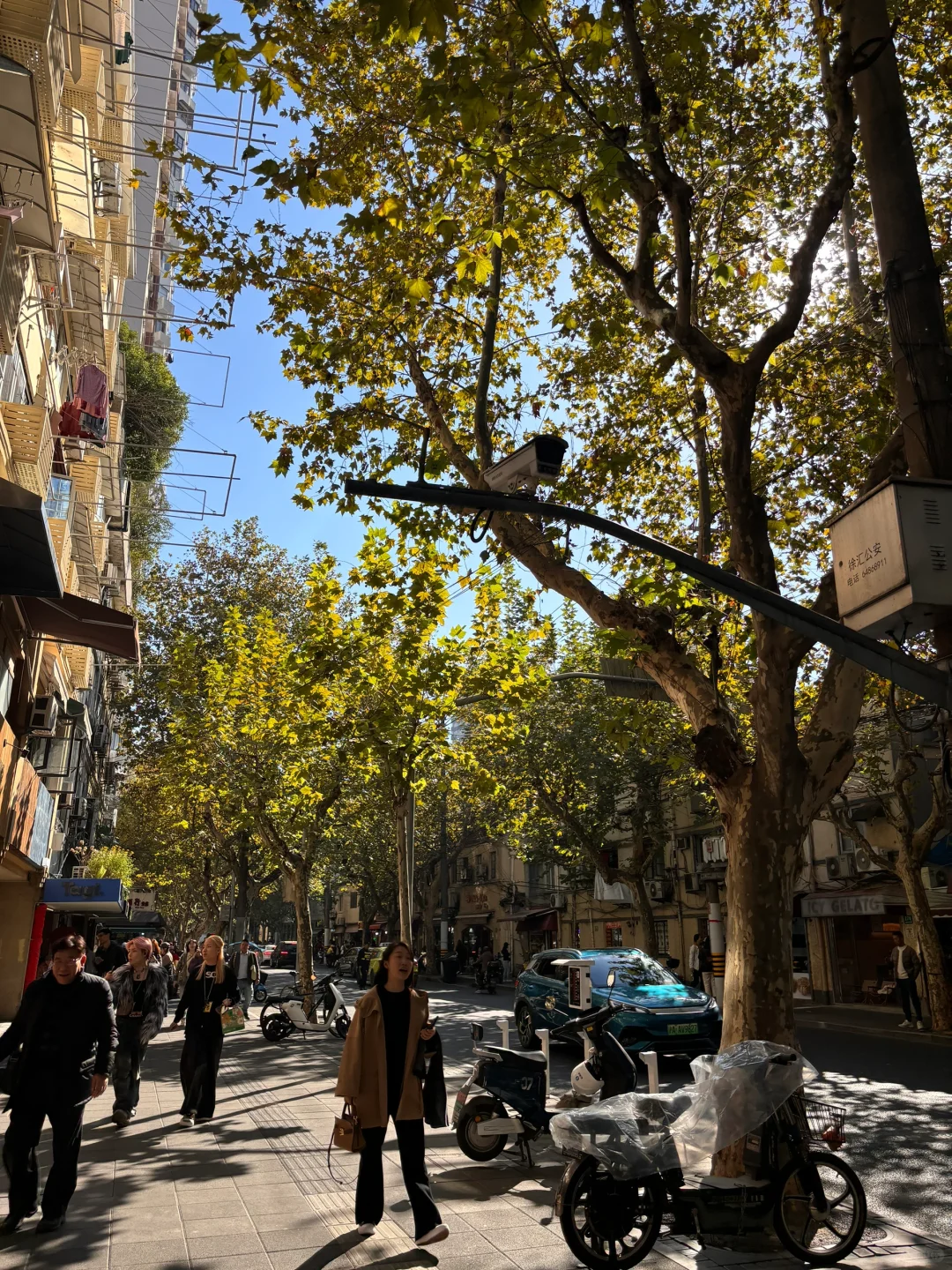 浙C体制内合同工