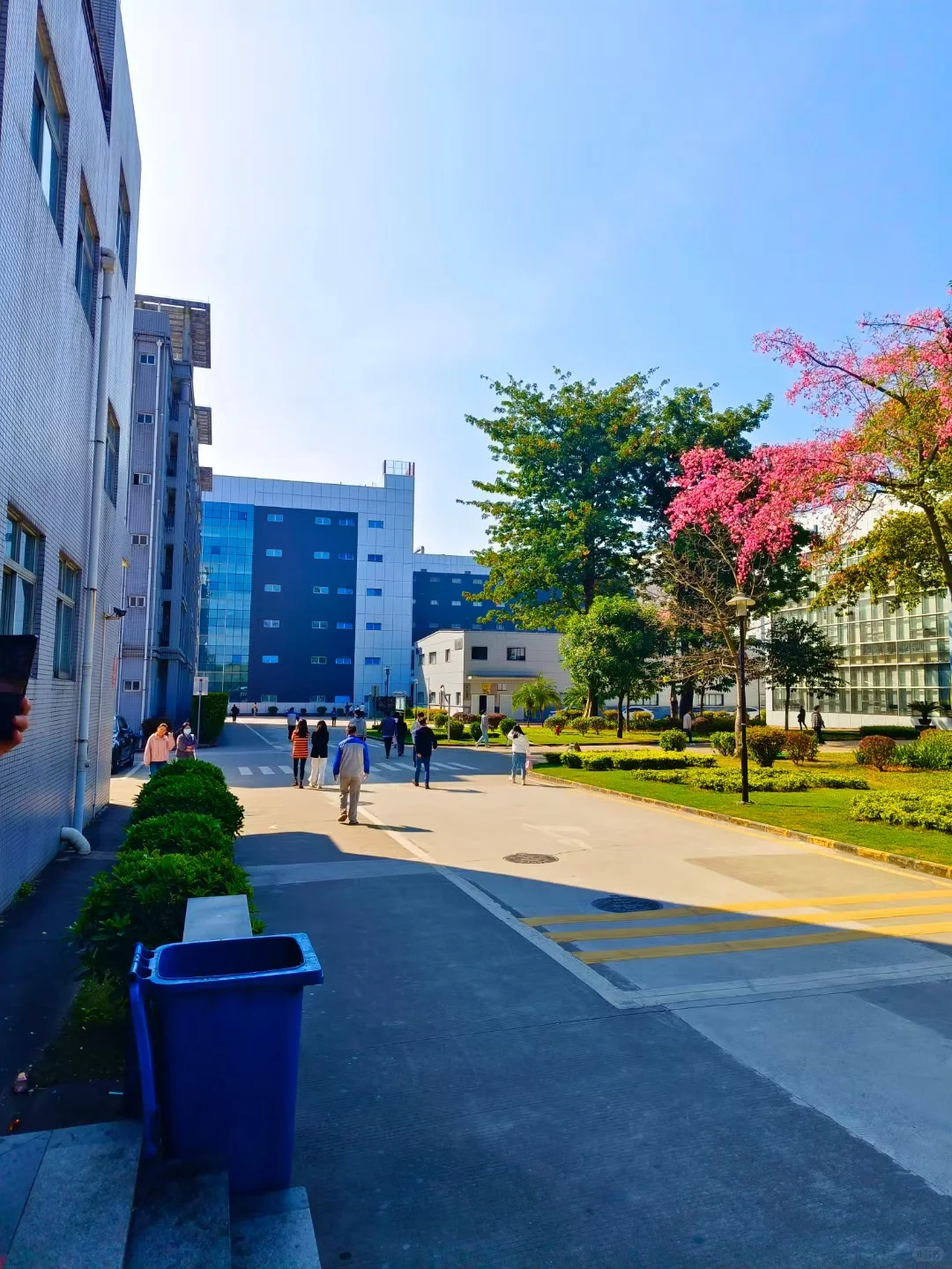 深圳龙华区上市公司招聘啦，无经验也可以