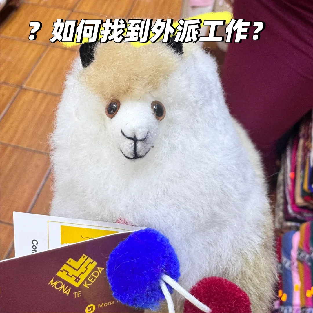 想找外派工作都看过来啦！攻略➕避坑🌍