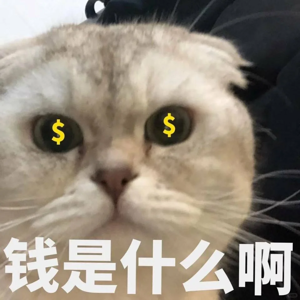 招人招人啦，高新区的宝子看过来！