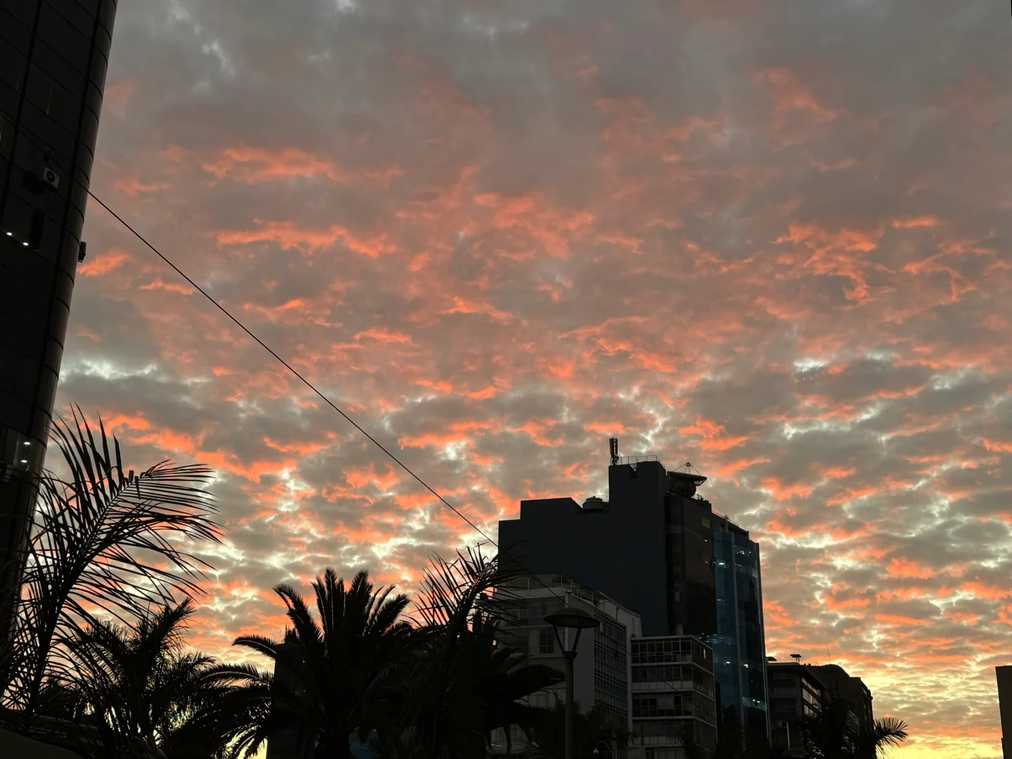 想找外派工作都看过来啦！攻略➕避坑🌍